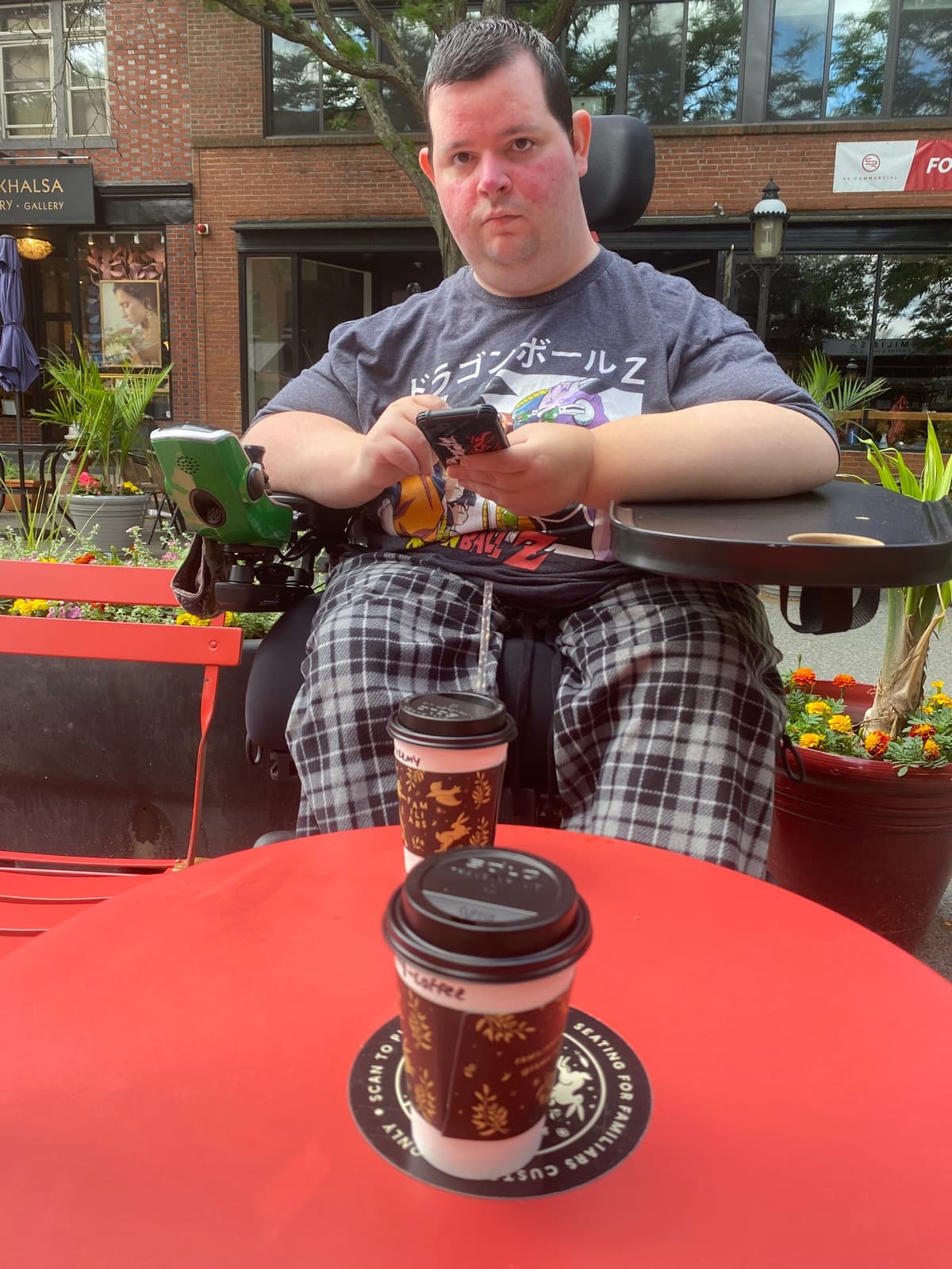 CruisingWithAWheelchair