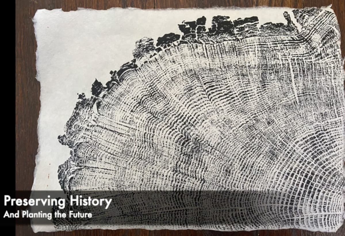 ArtPrintsToReplantTrees