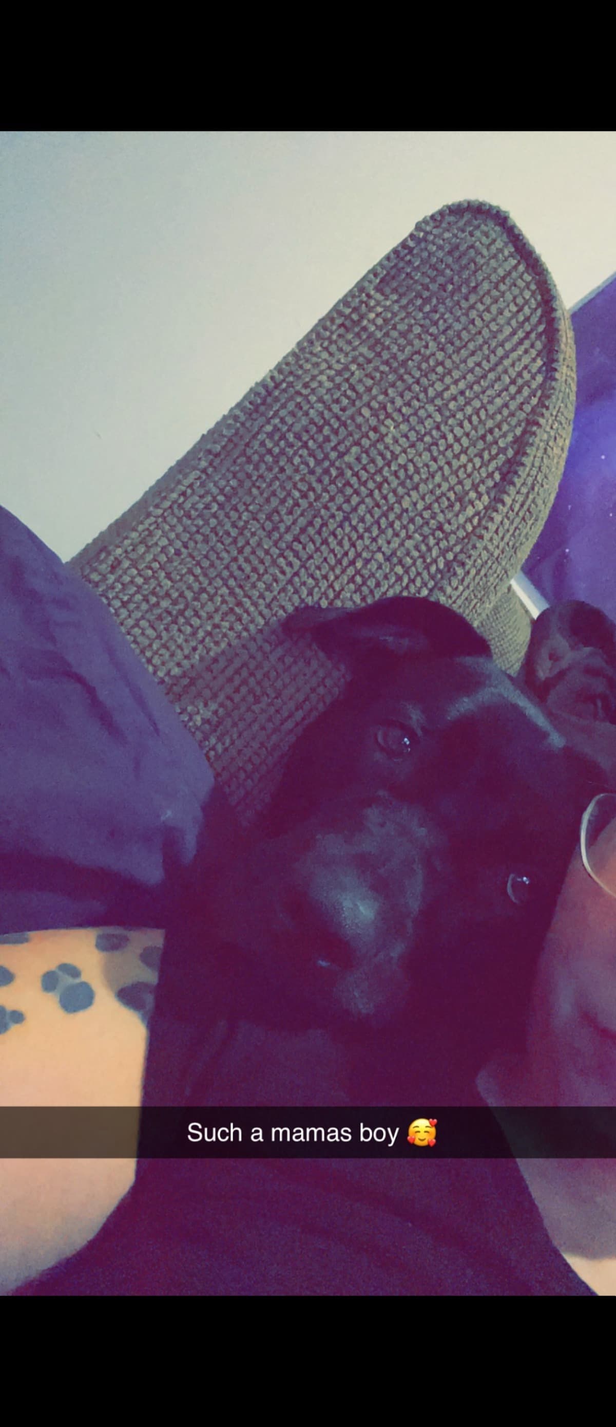 HomelessCoupleWithPets