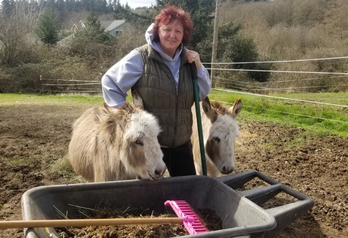 SaveToniesPoniesRescue