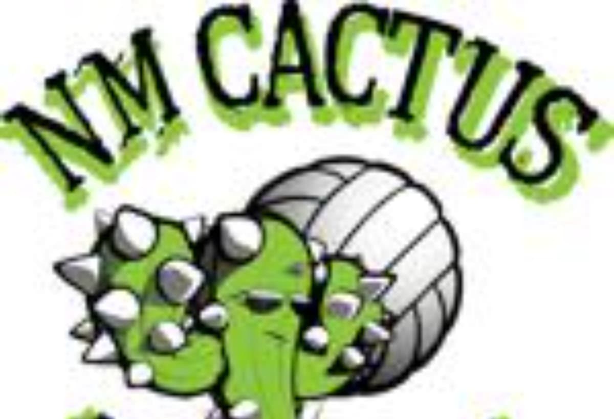 NMCactusVolleyball