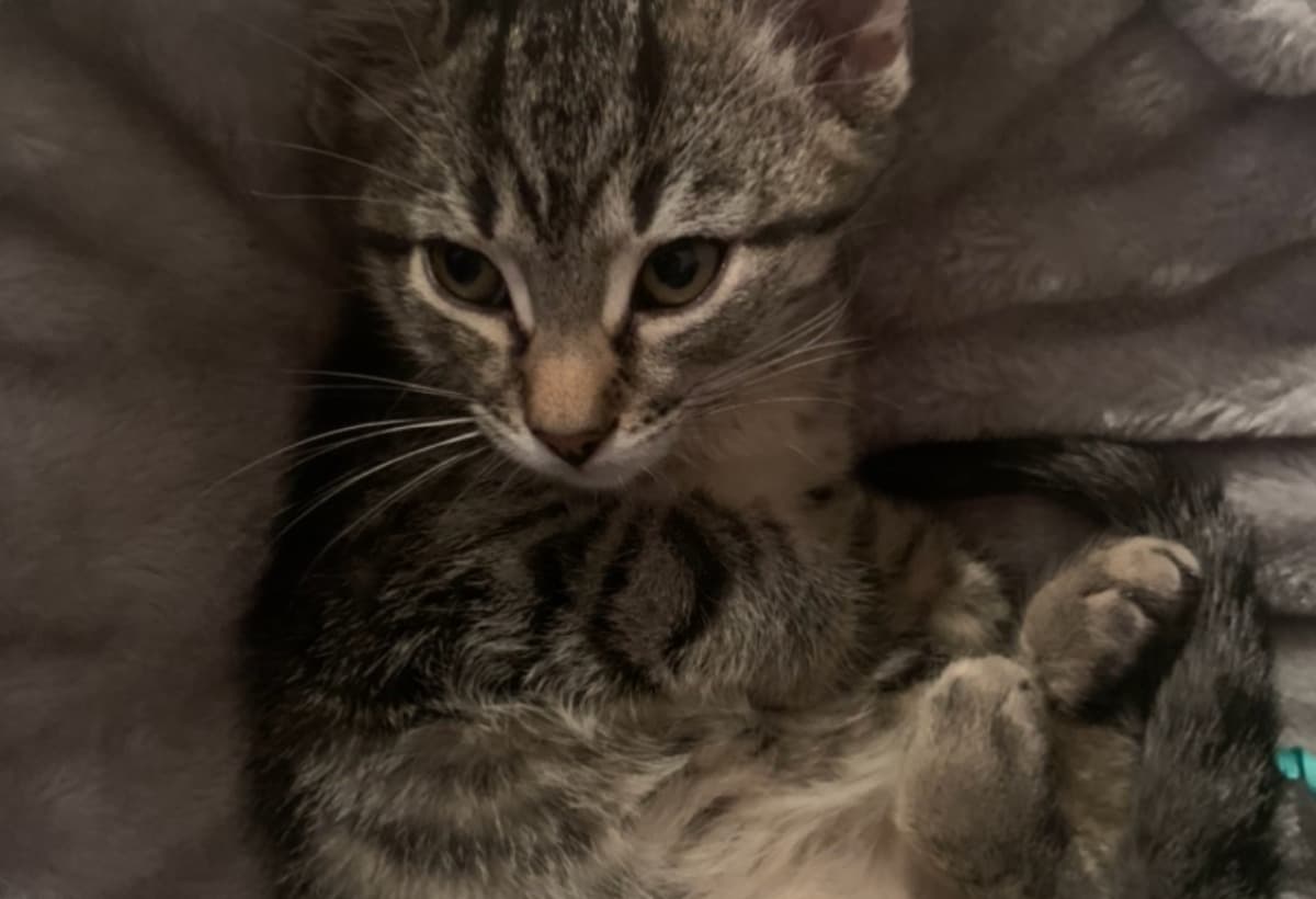 SaveBruceWillisFromFIP