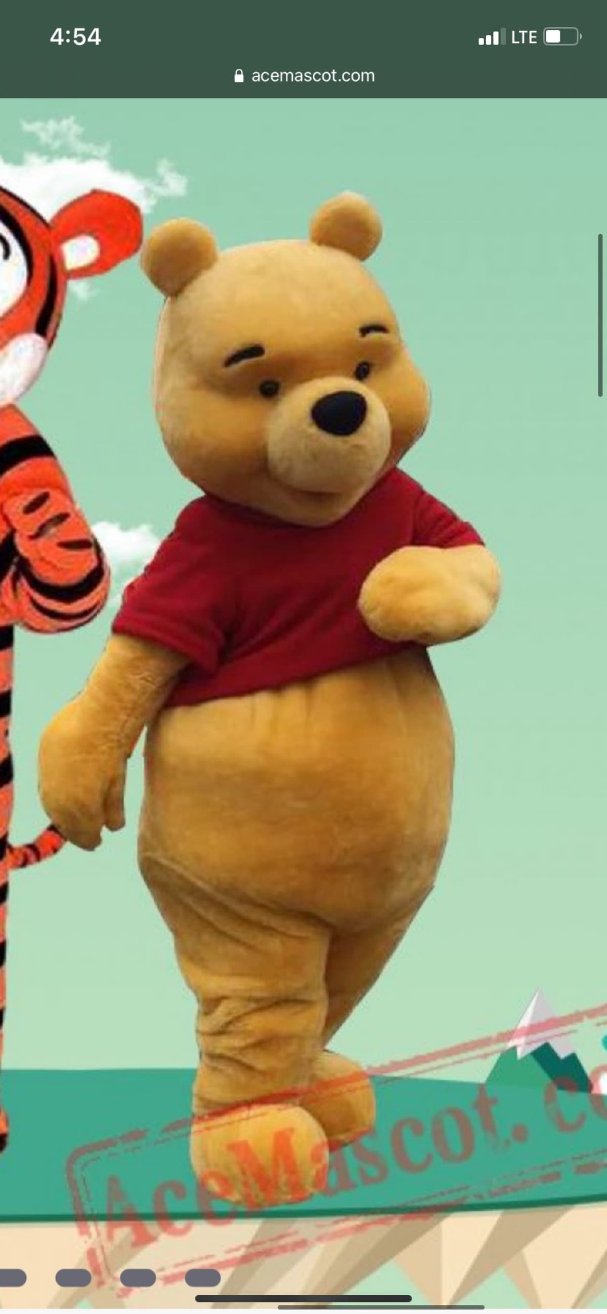 WinnieThePoohMascotCostume