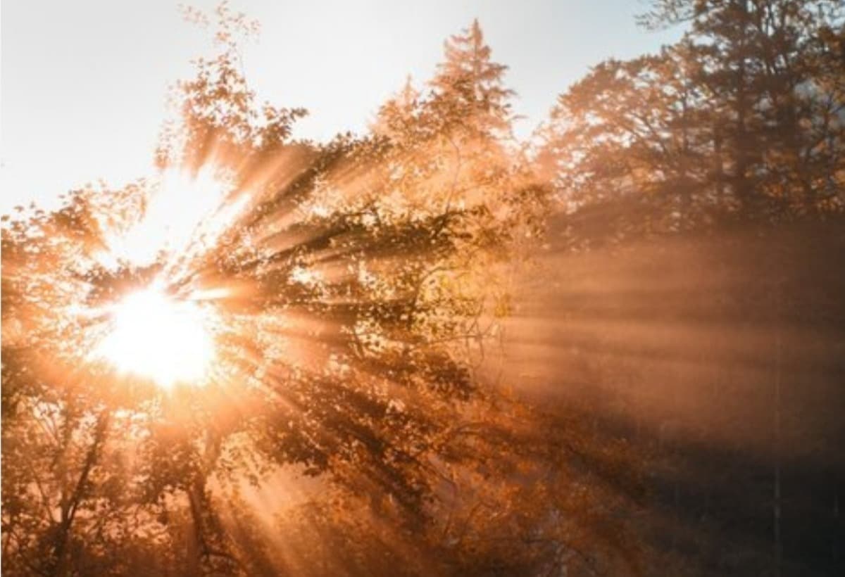 HelpSaveThisFamilyHome