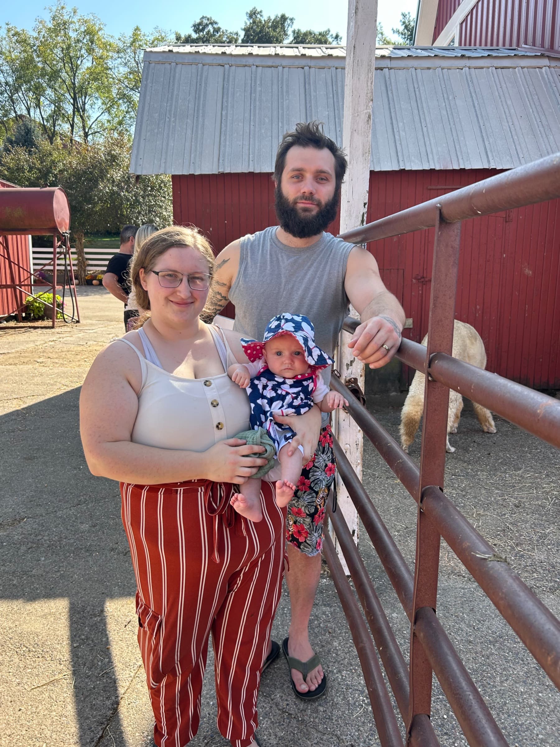 OperationNewYearNoDebt