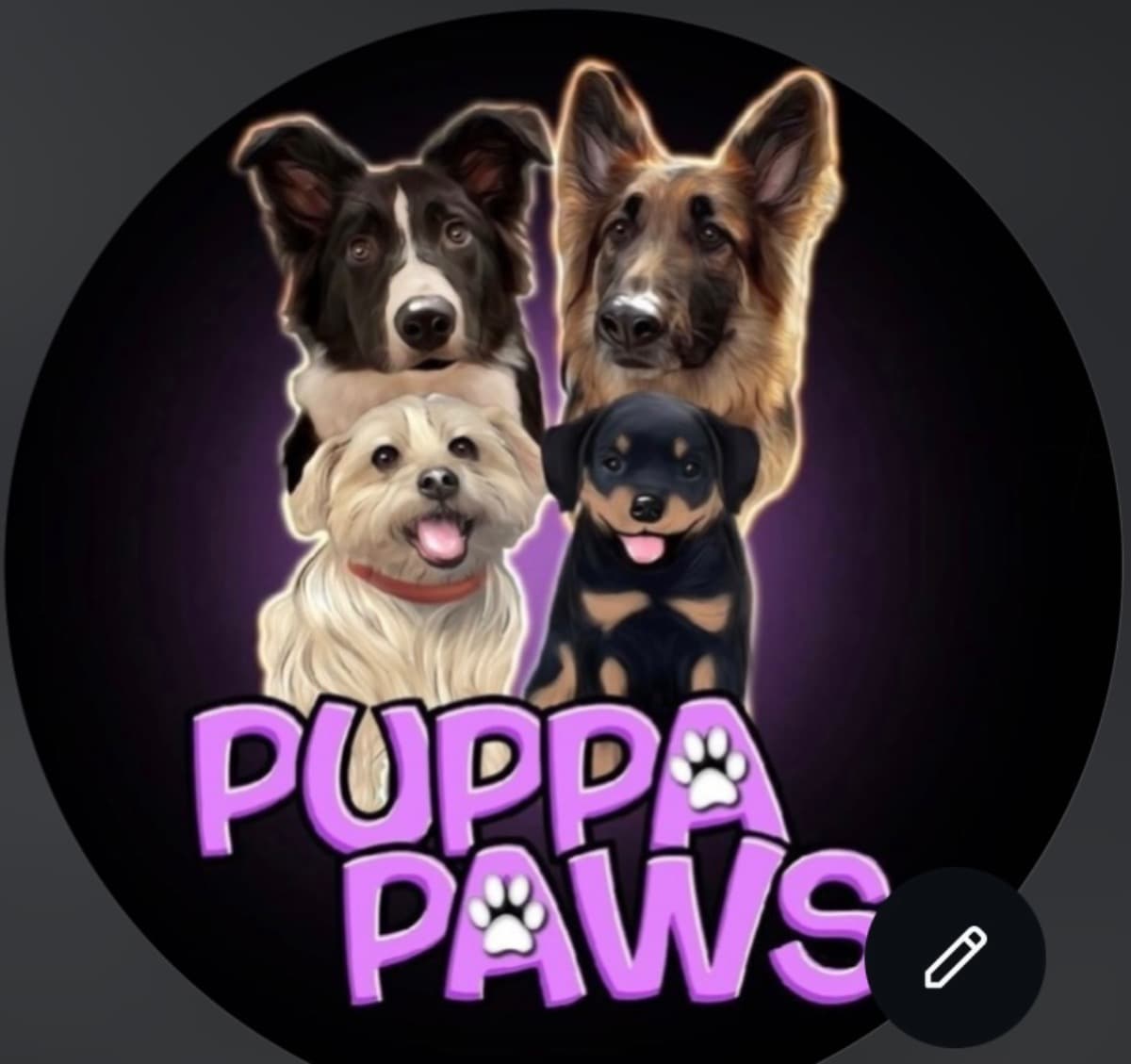 BringBackThePuppapawsCar