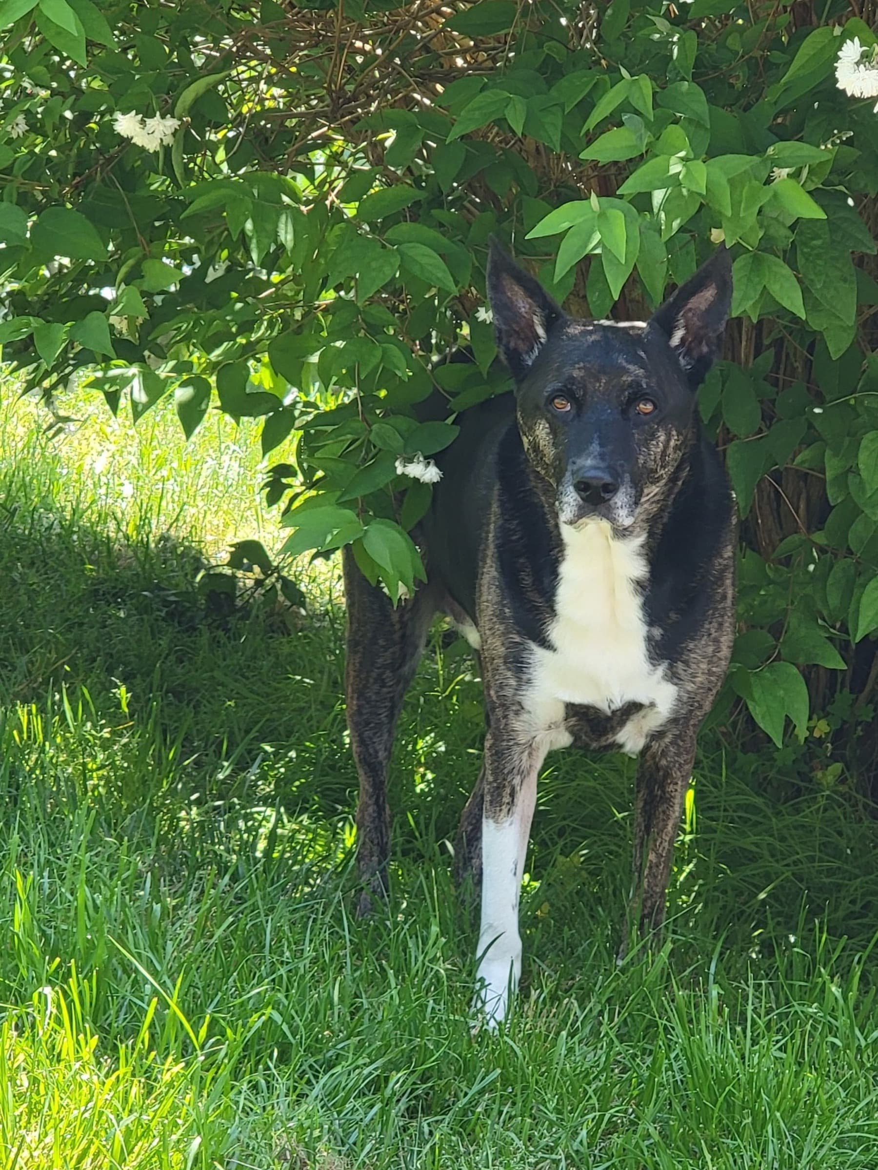 DonateToHelpFriendsInNeed