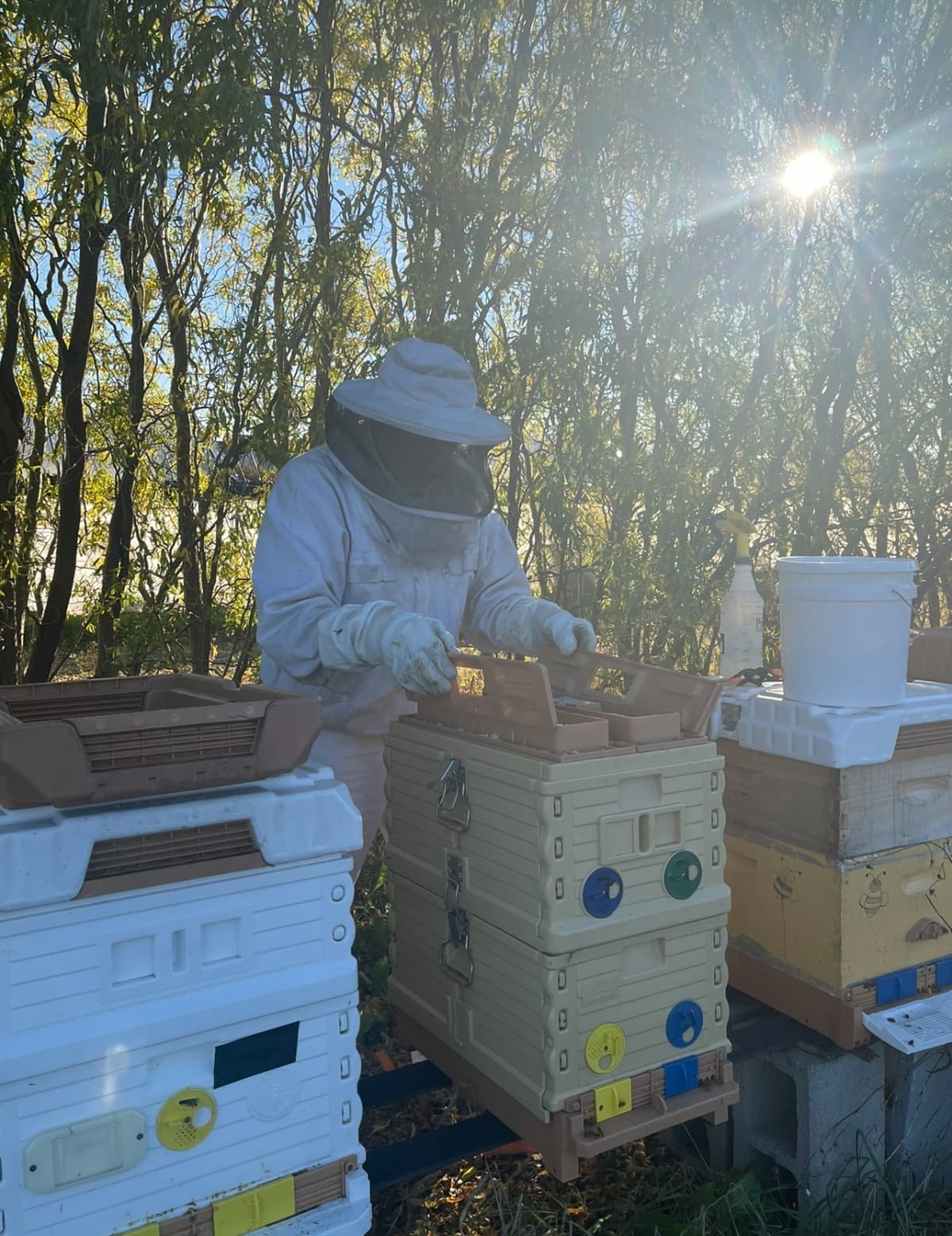 HelpSaveOurHoneybeeFarm