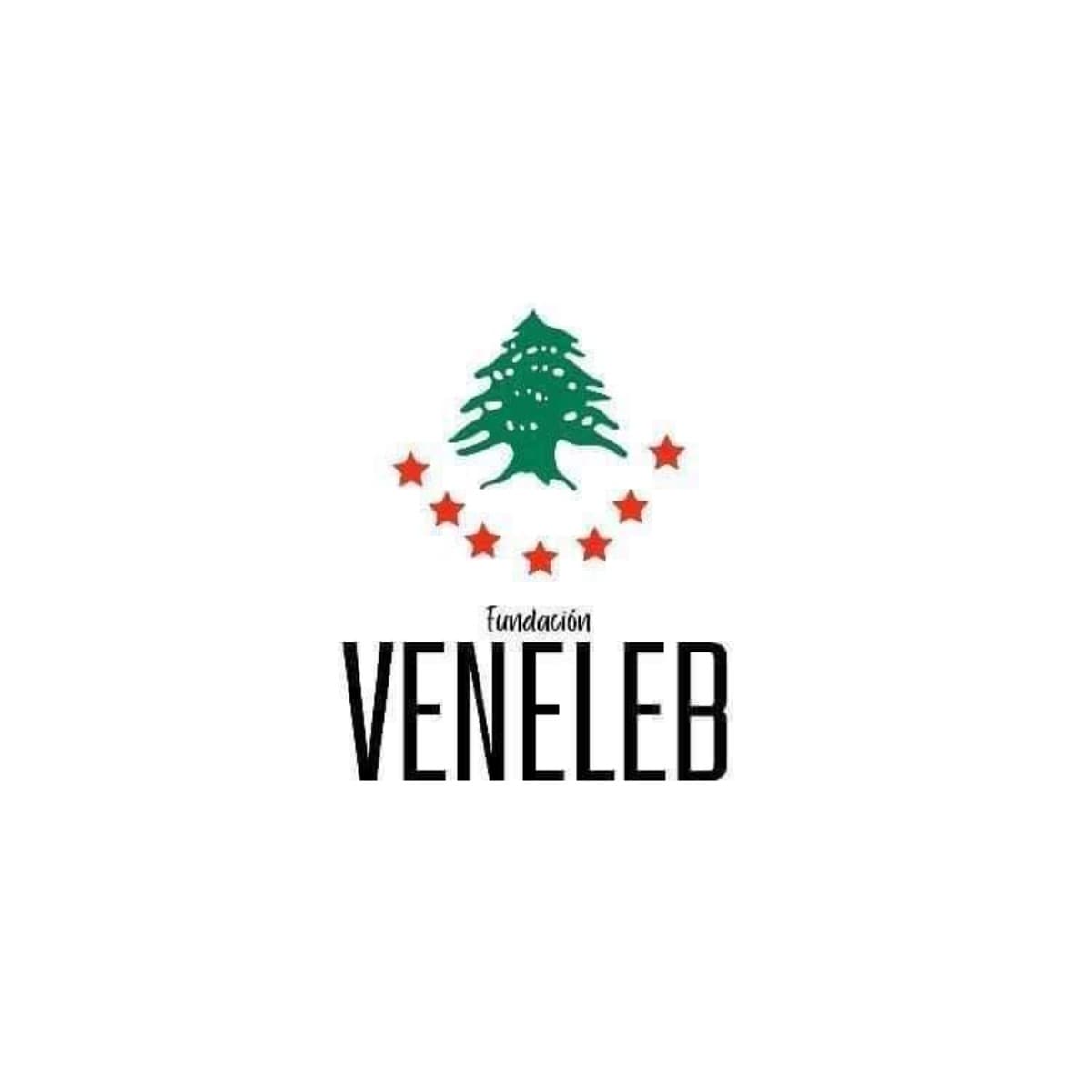 FOUNDATIONVENELEB