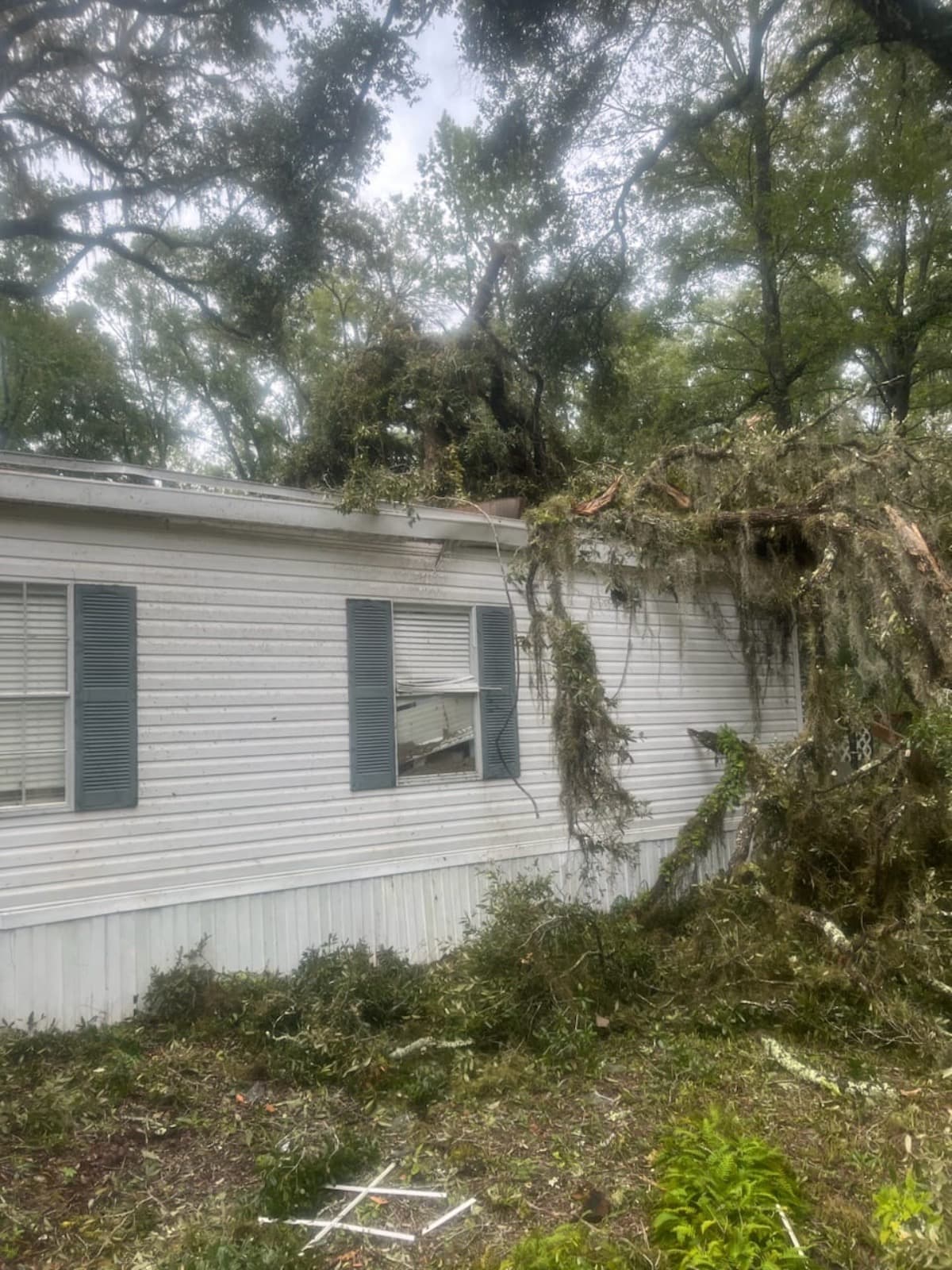 DisasterHurricaneIdalia