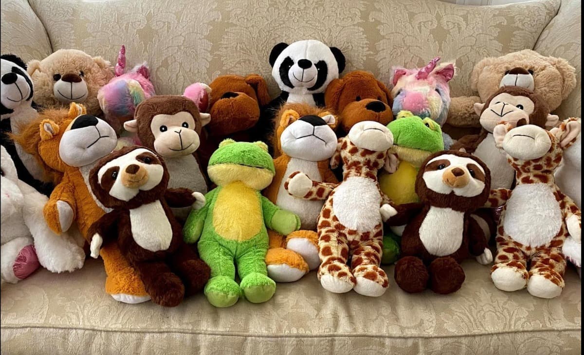 ScoliosisStuffedAnimals