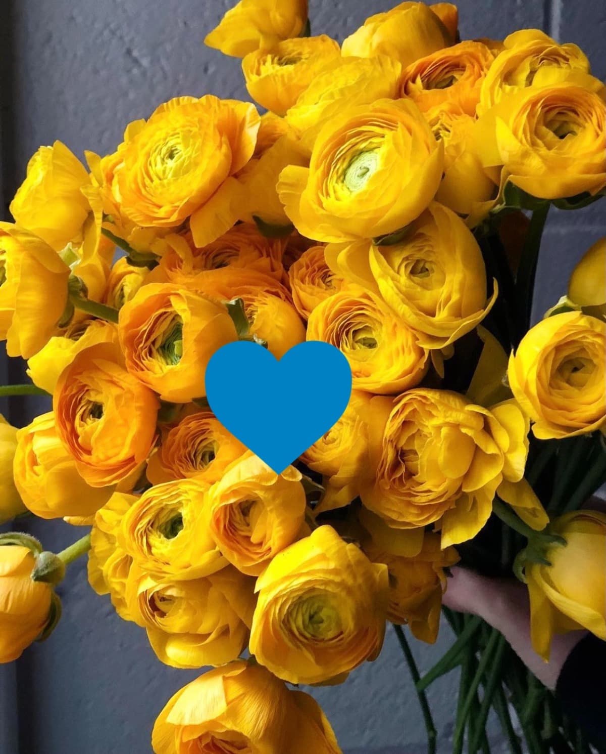 HelpMyUkrainianFamily