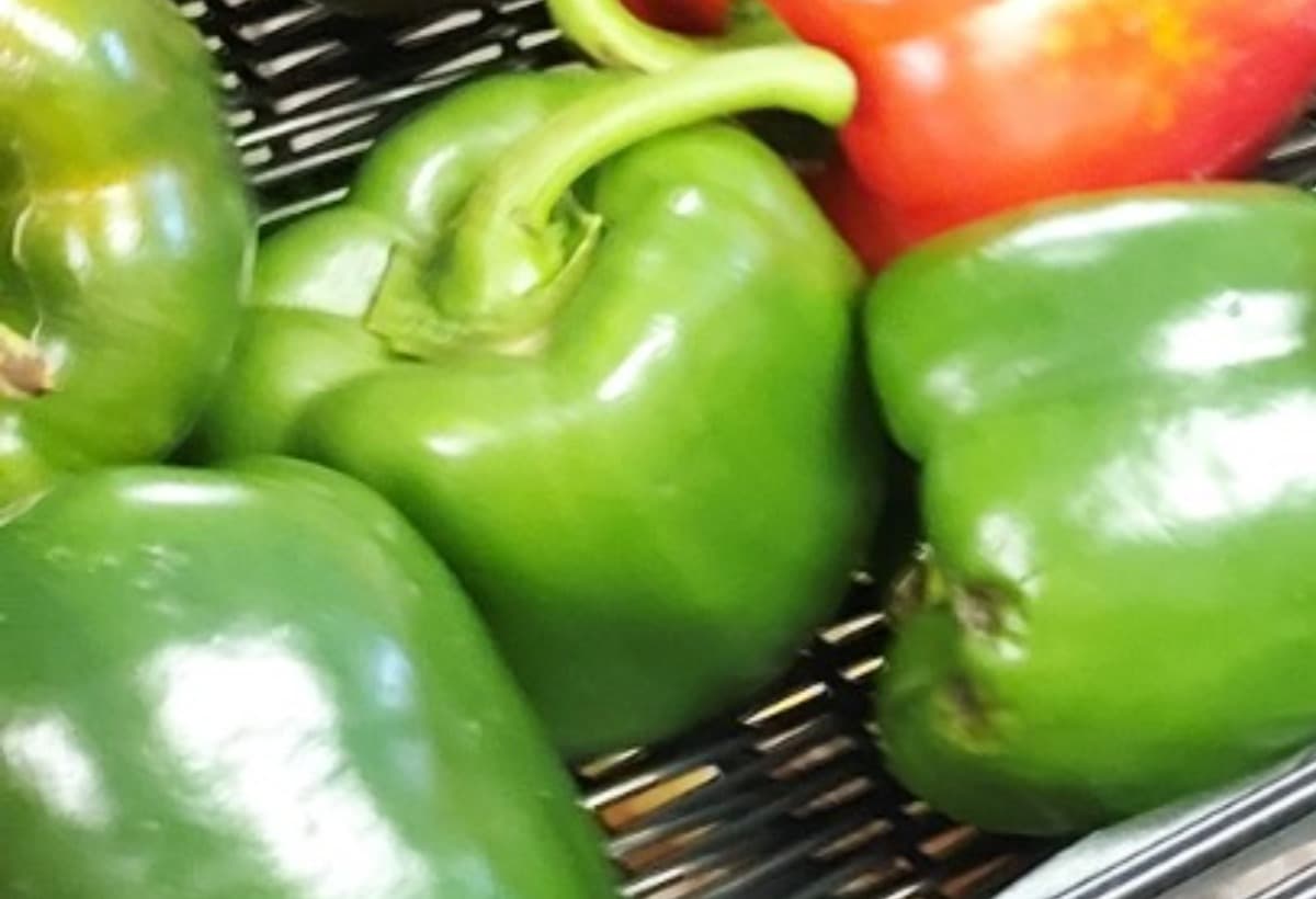 SchoodicFoodPantryExpansion