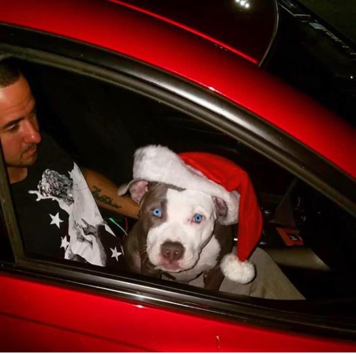 HelpMimiCostOfSurgeryAndCare