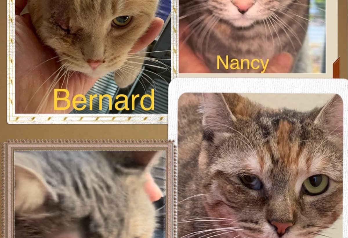 AGoodDeedTurnedIntoABi