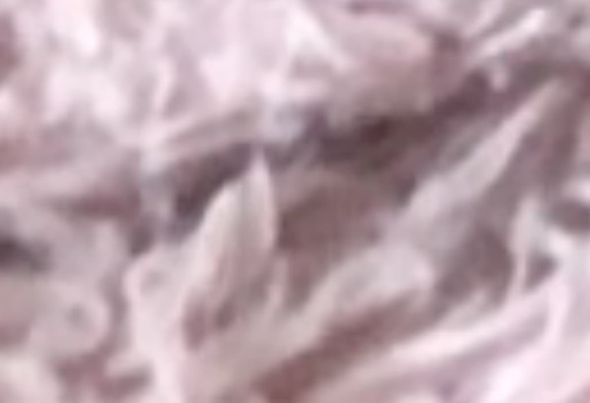 PastorLeavesFamilyBroke