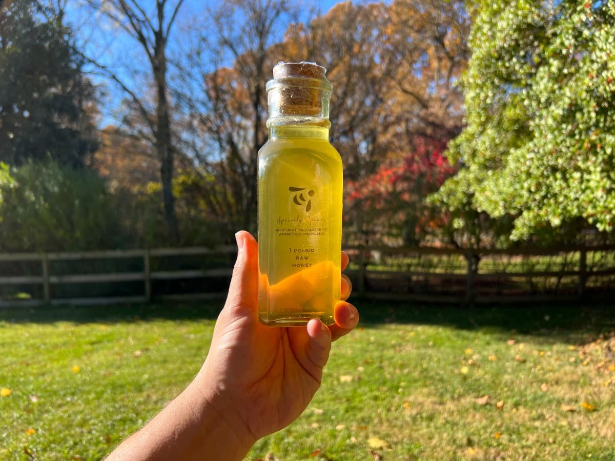 HELPRonsHoneyOperation