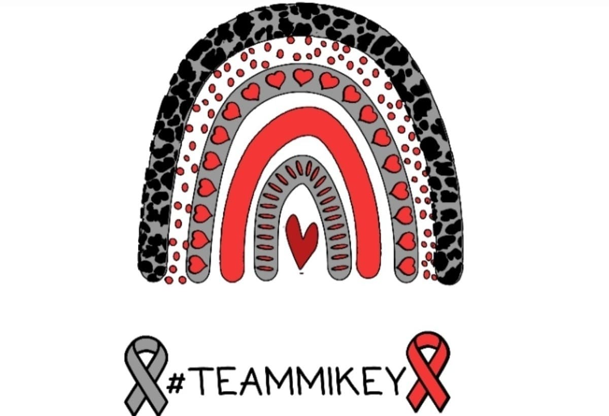 BrainTumorAndStrokeFight