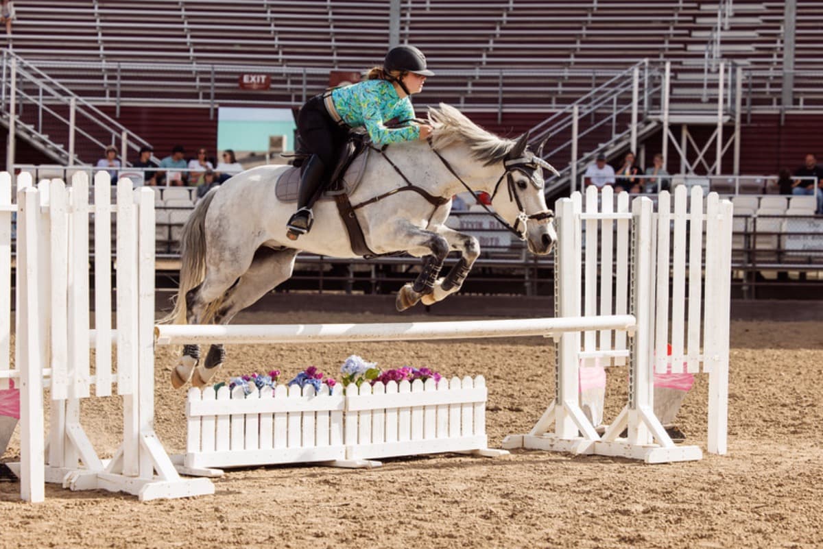 LasVegasNationalHorseShow