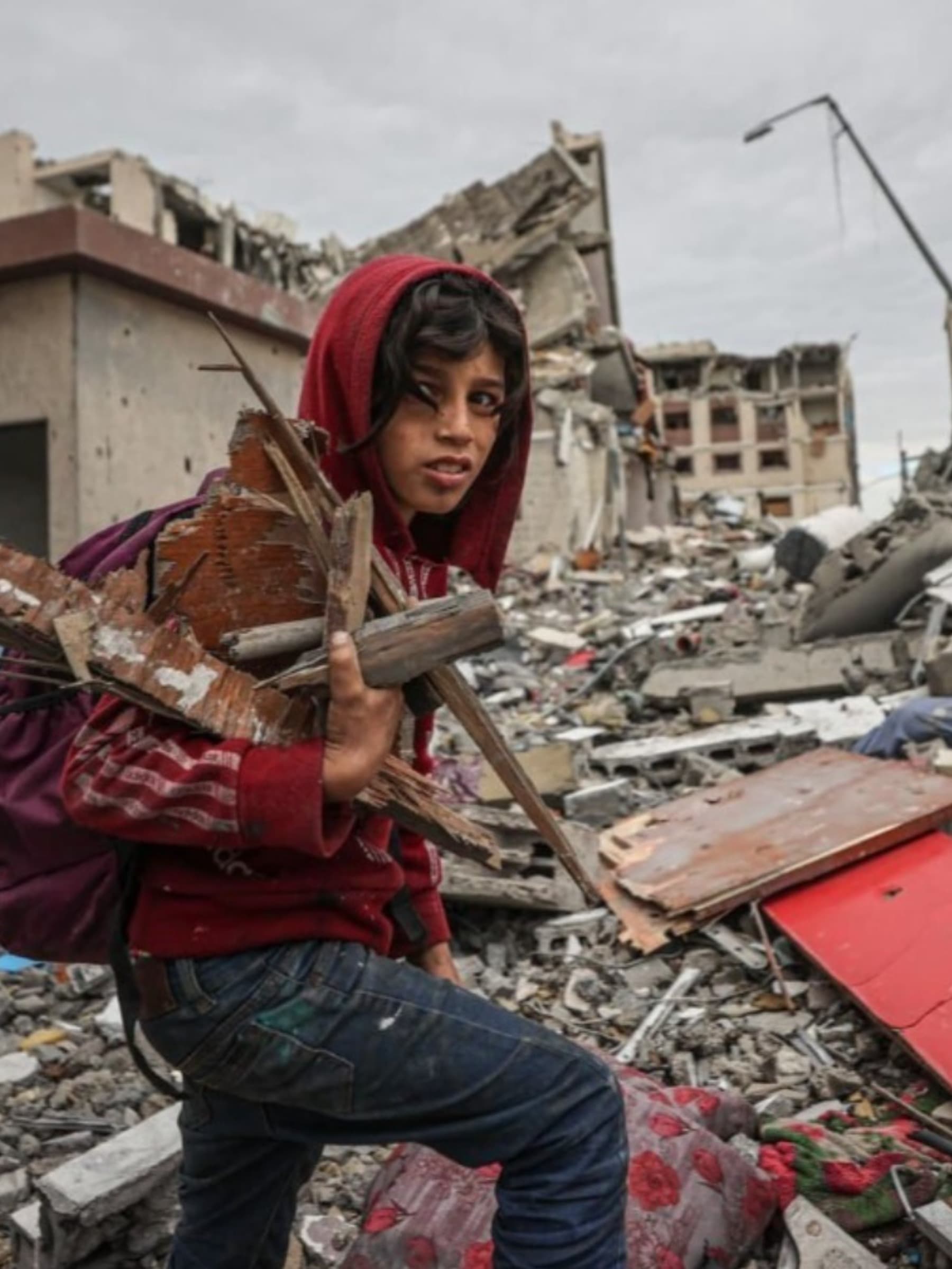 UrgentHelpToSurviveInGaza