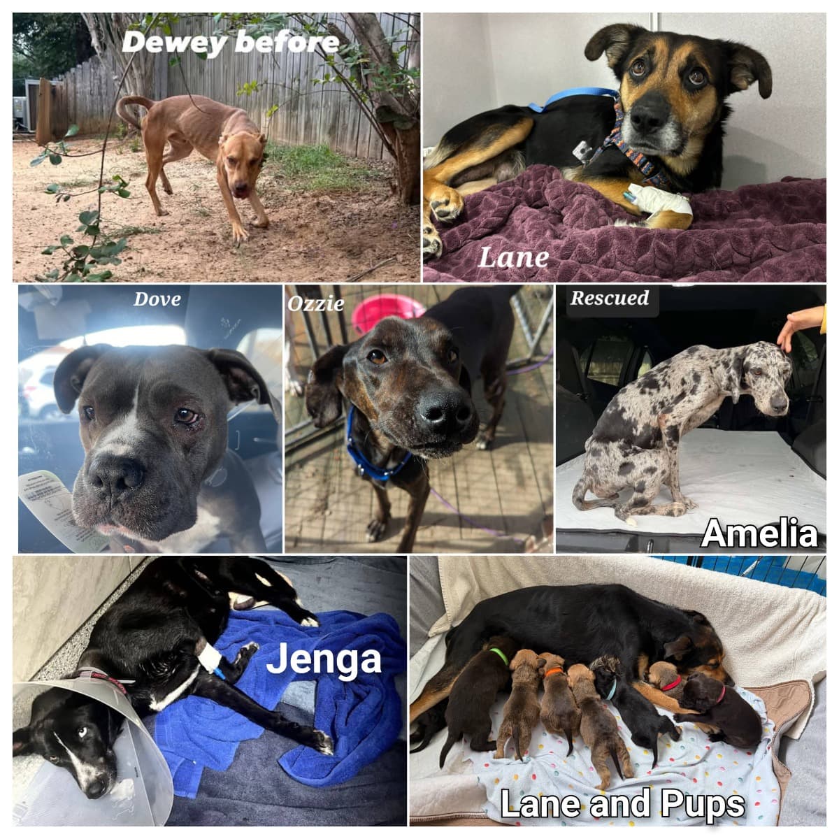 HelpUsReopenOurMedicalIntake