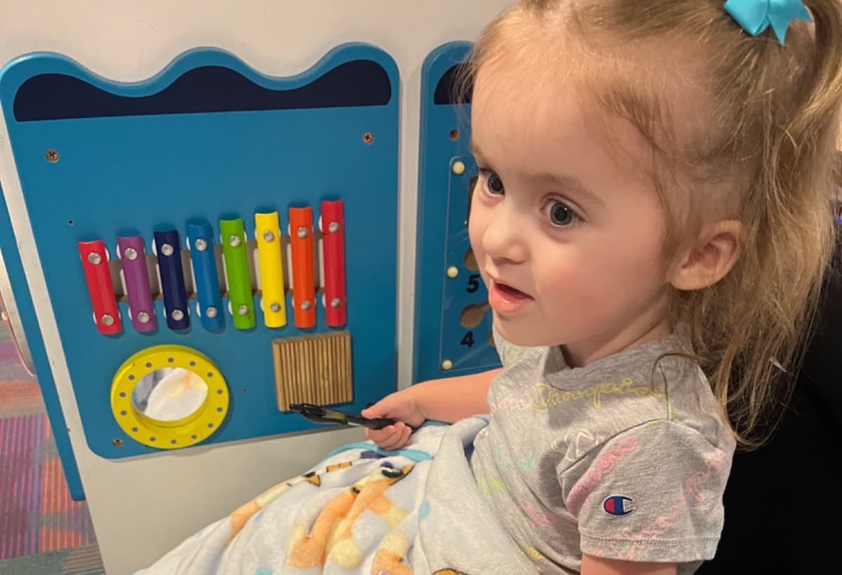 MakeAWishCarExpenses