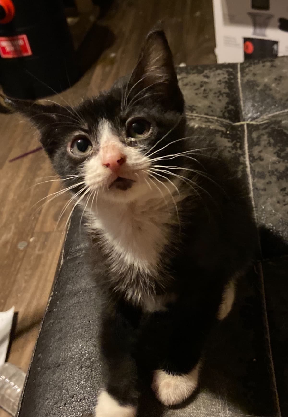 HelpStevenGetHisHerniaFixe