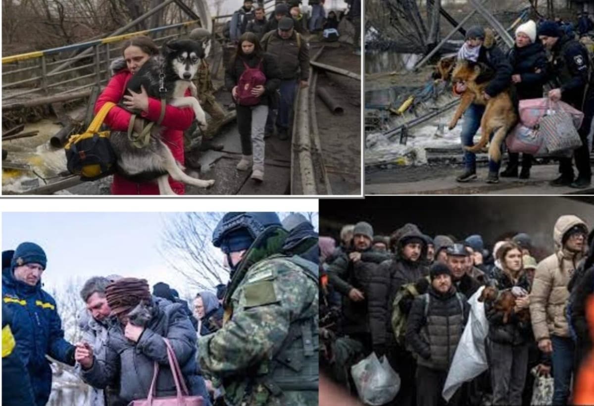 HelpAnimalsInUkraineKiev