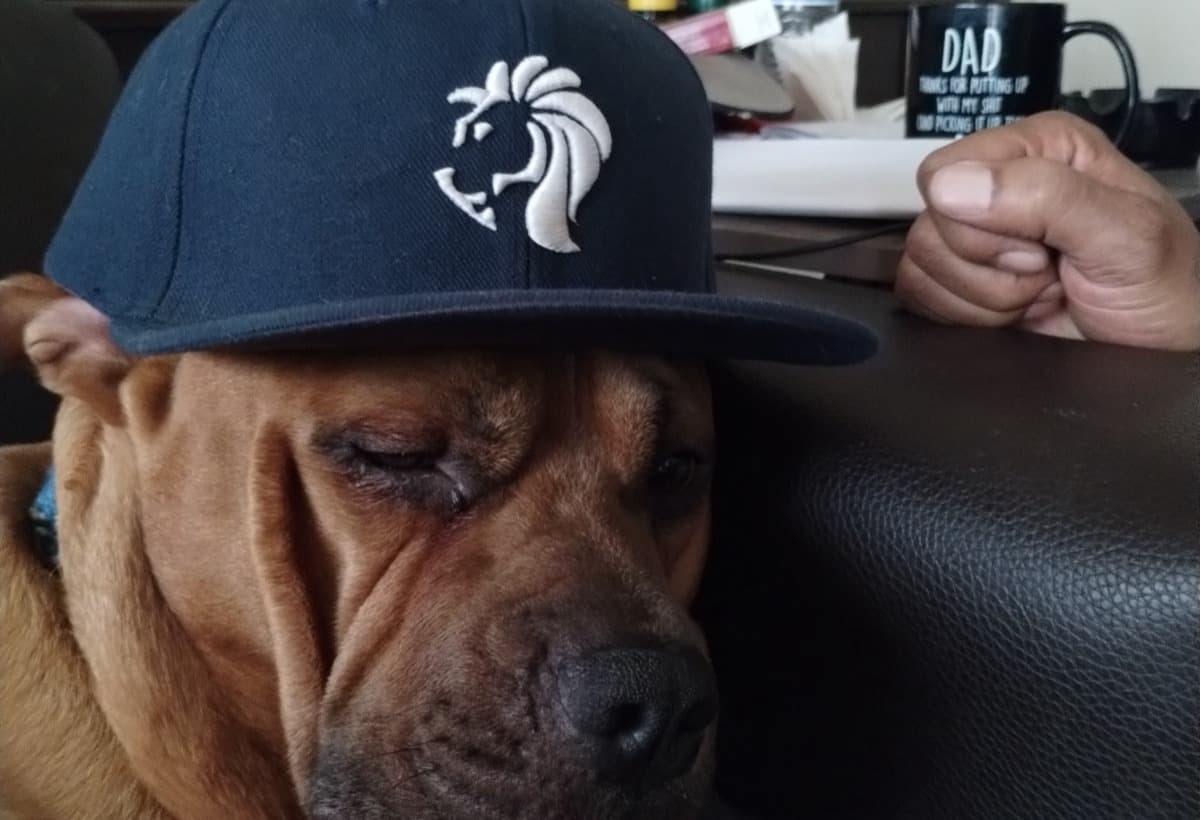 HelpOurFamilyStayOffTheStree