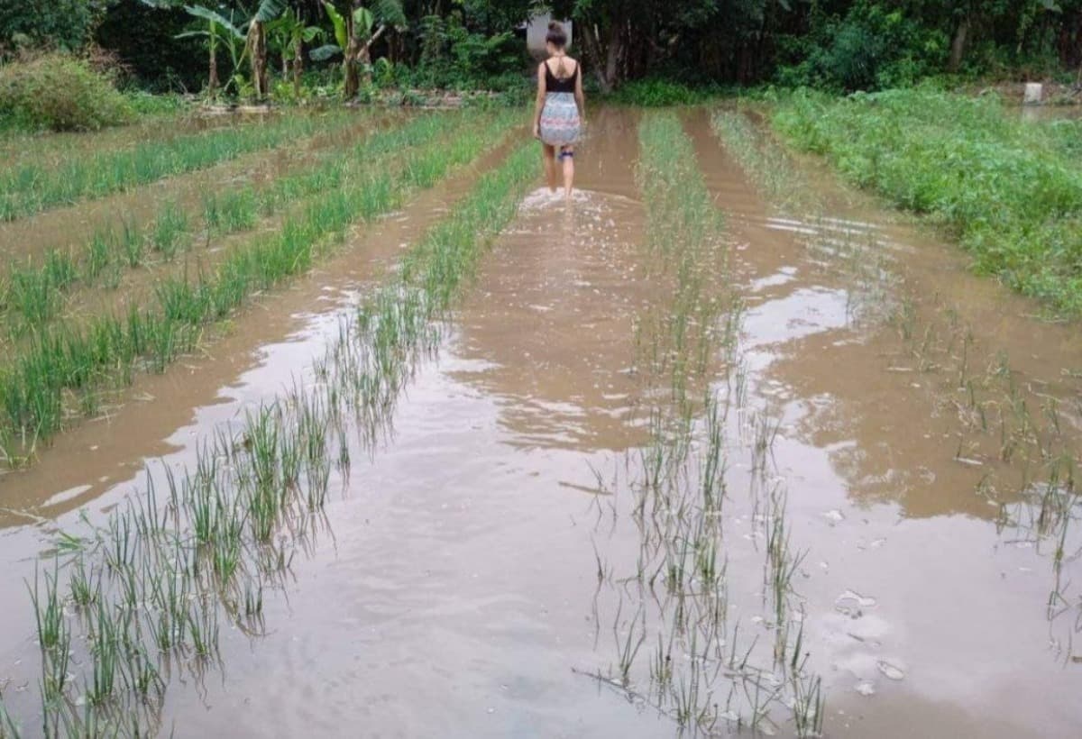 PleaseHelpMyFamilyColombia