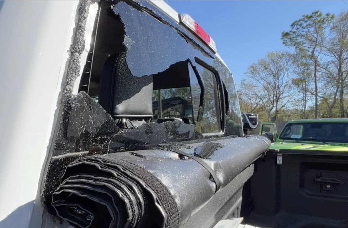 RebuildingDNACarpentry