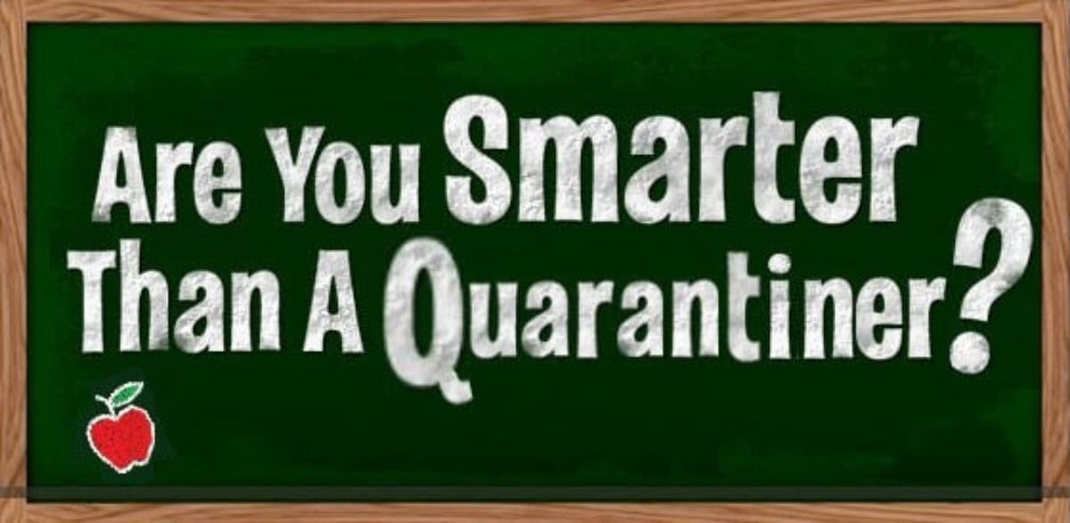 AreYouSmarterThanAQuarantiner