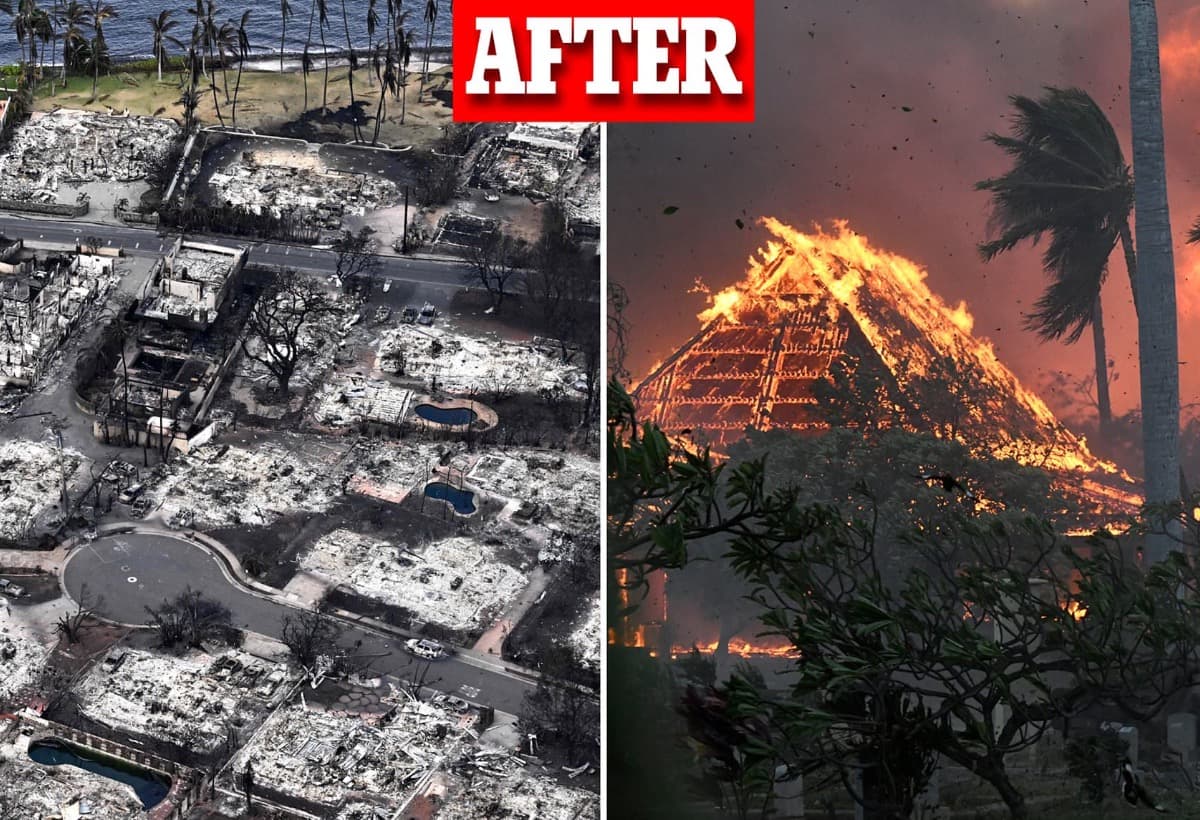 MauiFireReliefFundraiser
