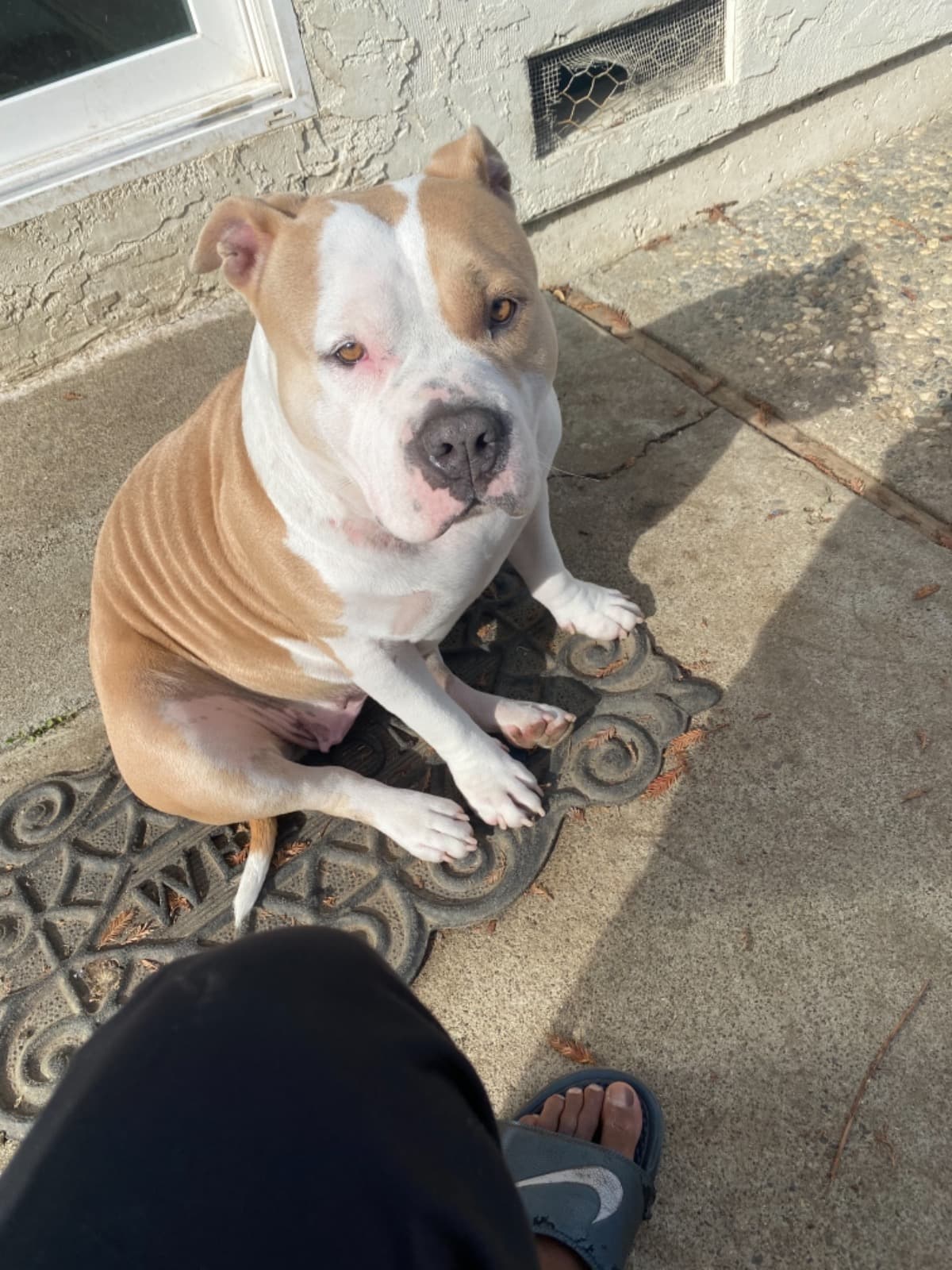 HelpMeSaveMyBaby