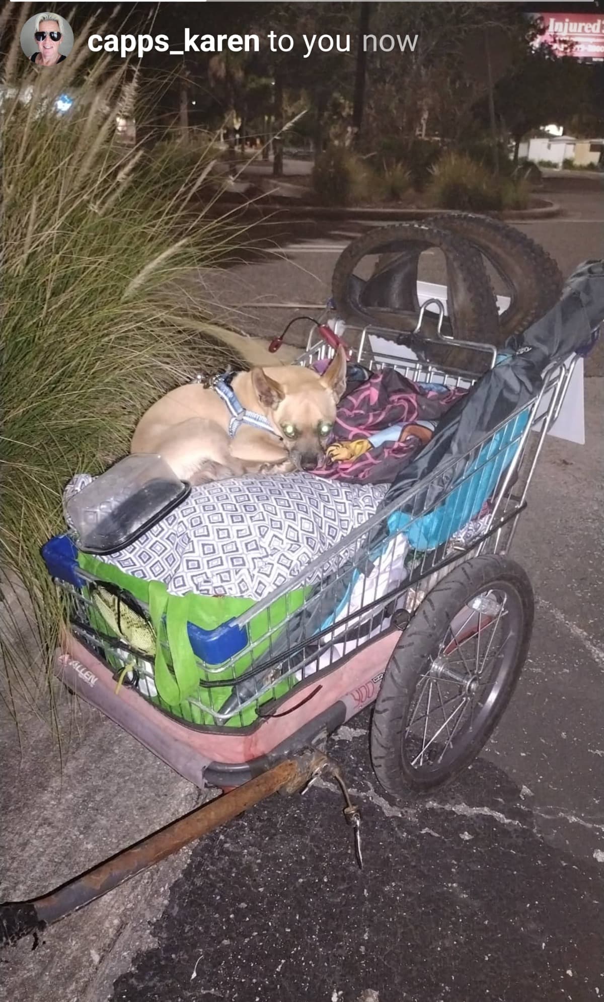 HomelessInNewPortRicheyFL
