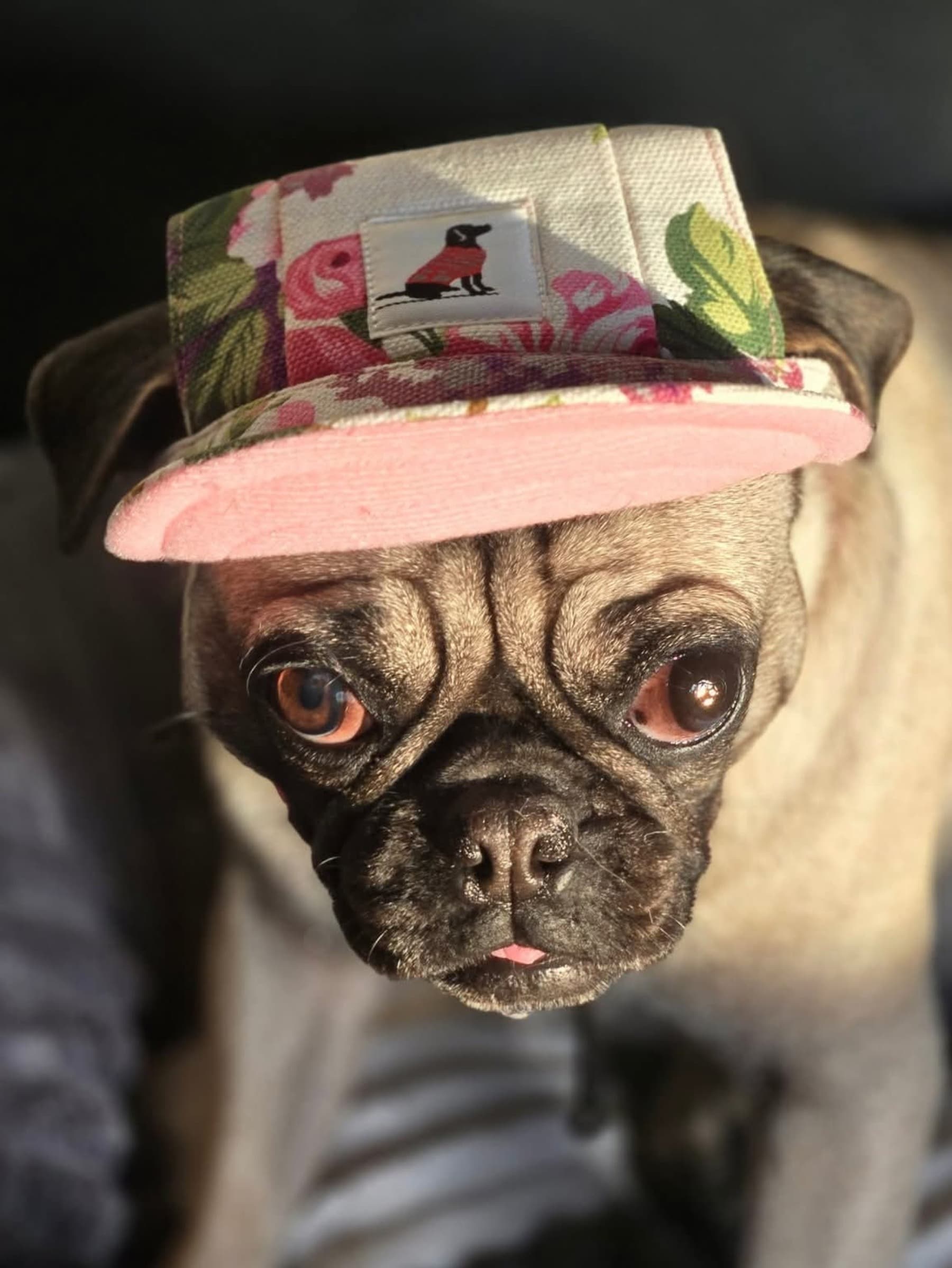 TofuSurgery