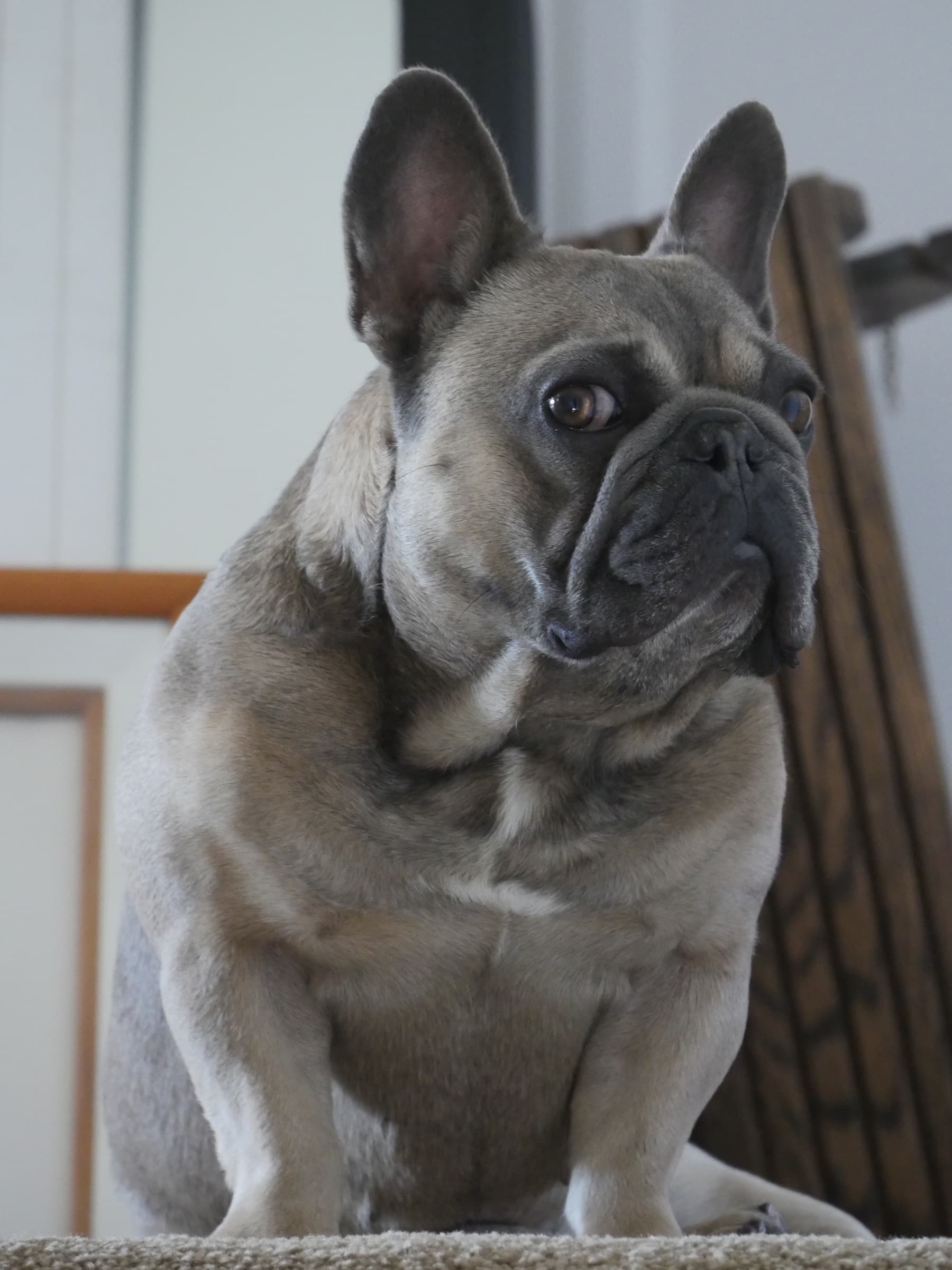 SkittlesCanBreathNow