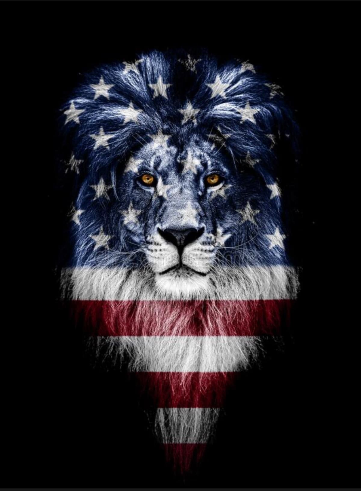 MarchAgainstAgencyTrafficing