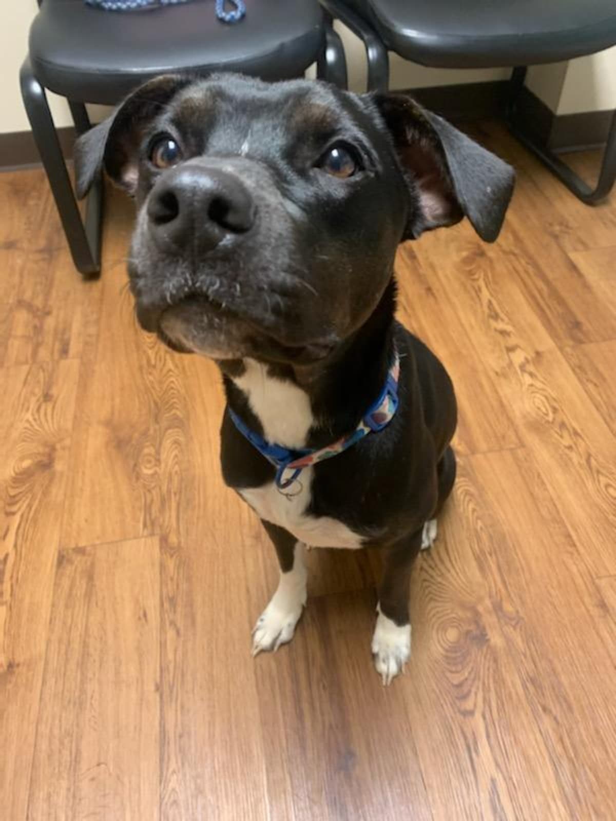 HelpSaveBoots