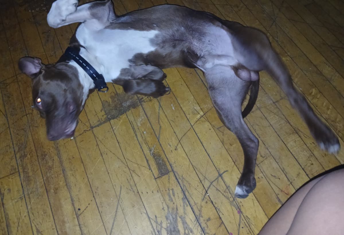 TryingToBuildAndDoBetter