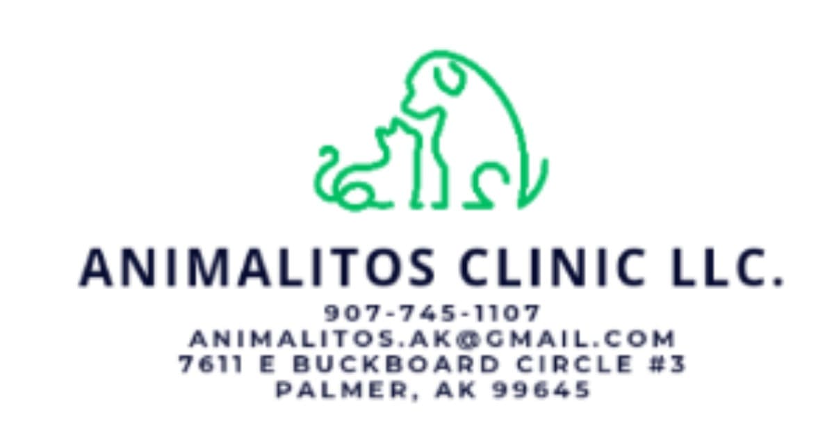 AnimalitosXRayMachine