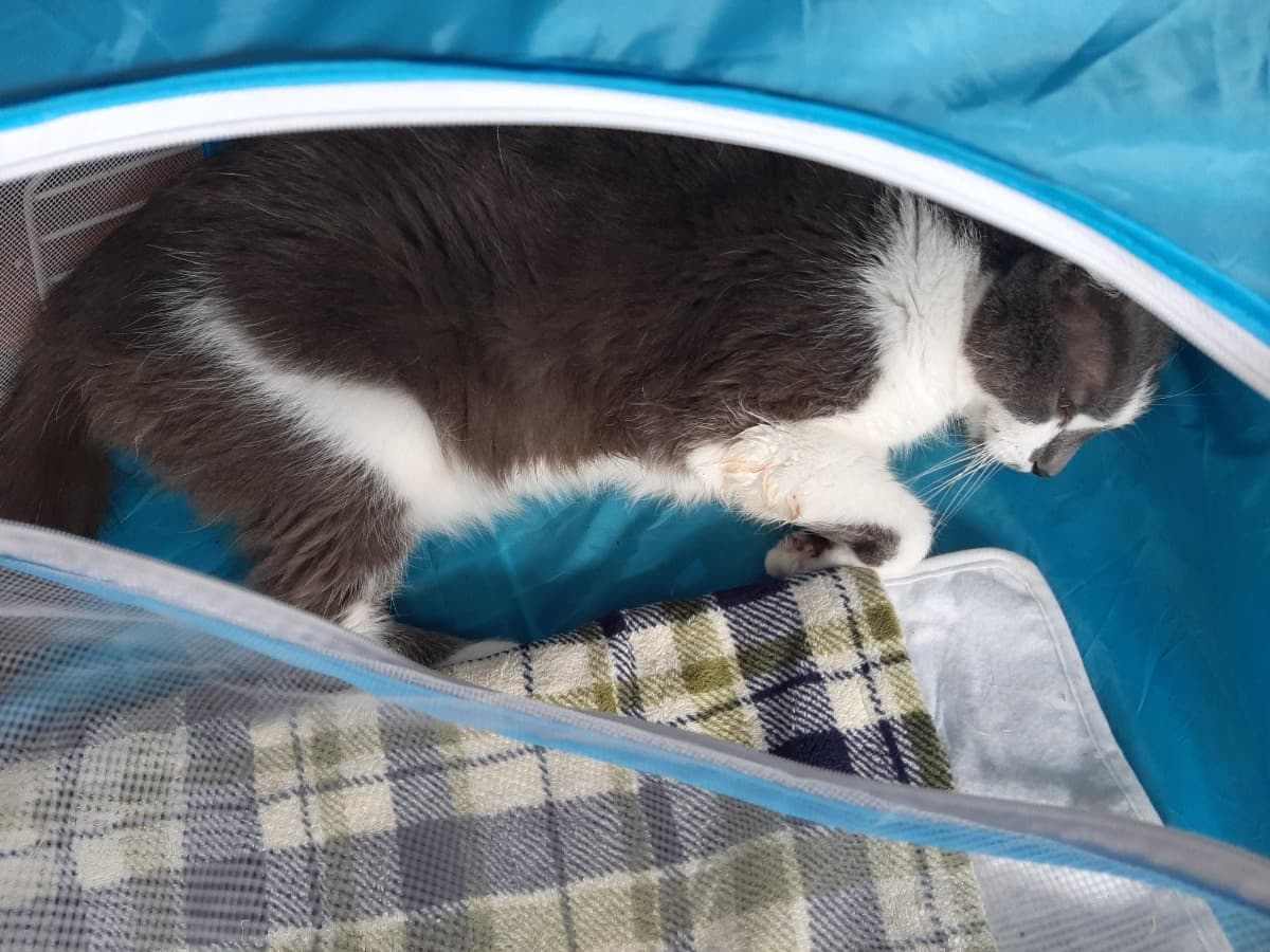 MyCatsVetVisit