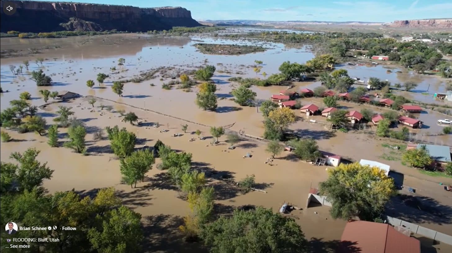 Help Rebuild Bluff Gardens After Flood — photo 5