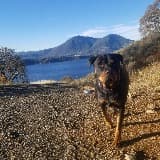 Christopher Stallings