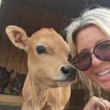Kim Dehart