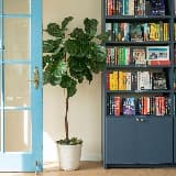 Zibby's Bookshop