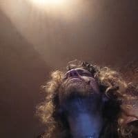 Mr. Stitch Jason winiarz