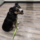 MCESD9 Fire Department