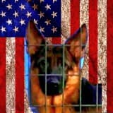 Mario Cesar Samaniego