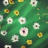 Greener Concepts Inc.